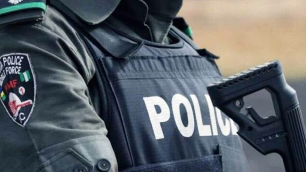 Police arrest four for N750,000 fish theft in Niger