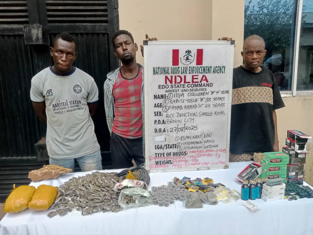 NDLEA seizes 41,410,53kg of drugs, arrests 26 traffickers in Edo