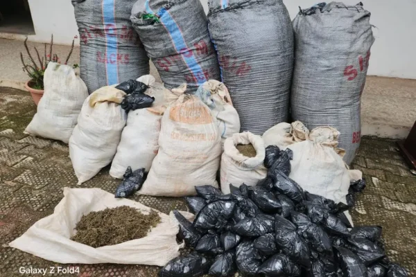 Drug trafficking: Police arrest 54, recover 11 bags of Indian hemp