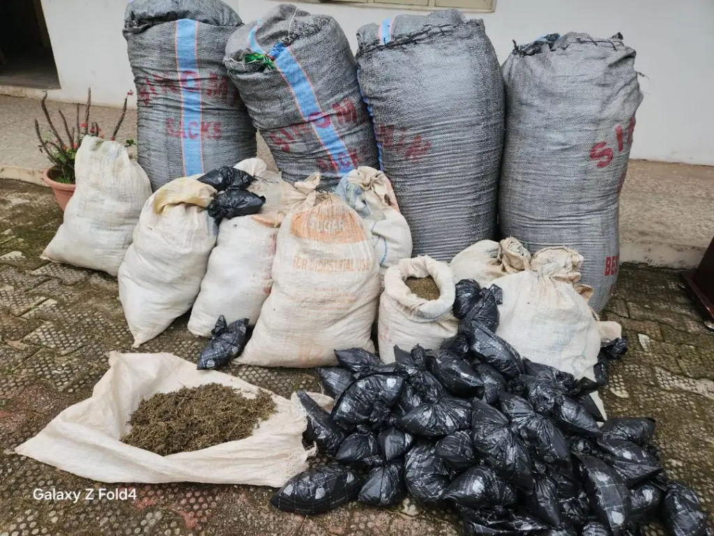 Drug trafficking: Police arrest 54, recover 11 bags of Indian hemp