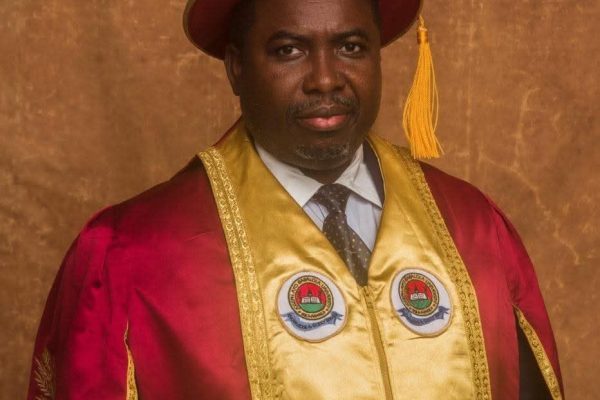 Council of State approves appointment of Prof. Amupitan as INEC Chairman