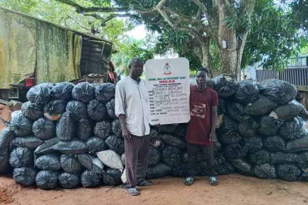 NDLEA arrests 54 suspected traffickers, seizes 1,506.57kg of drugs in Edo