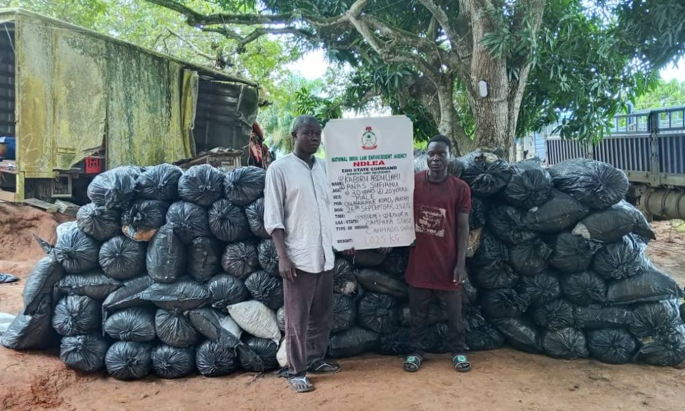 NDLEA arrests 54 suspected traffickers, seizes 1,506.57kg of drugs in Edo