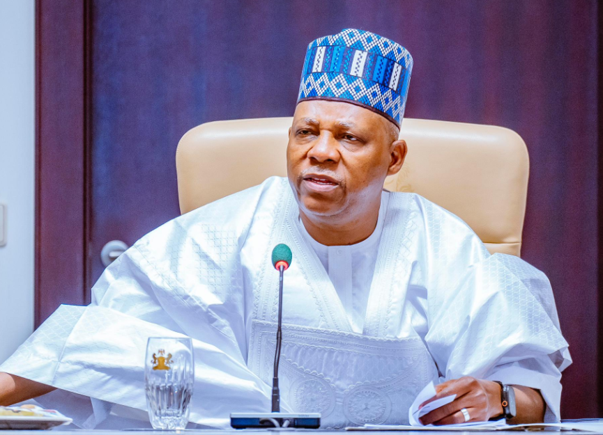 Nigeria unlocking $410bn investment to become Africa’s renewable energy hub – Shettima