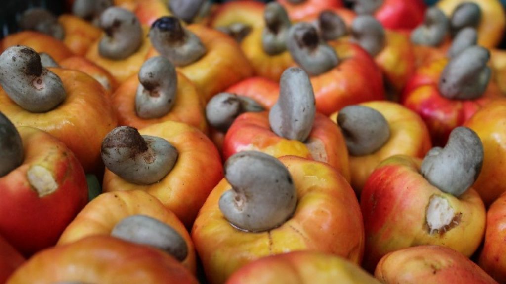 Cashew very vital to Nigeria’s non-oil export aspirations – FG