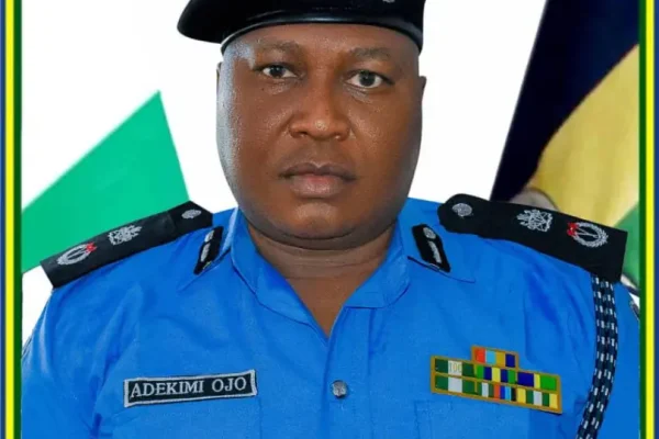 Kwara police arrest serial transformer vandal