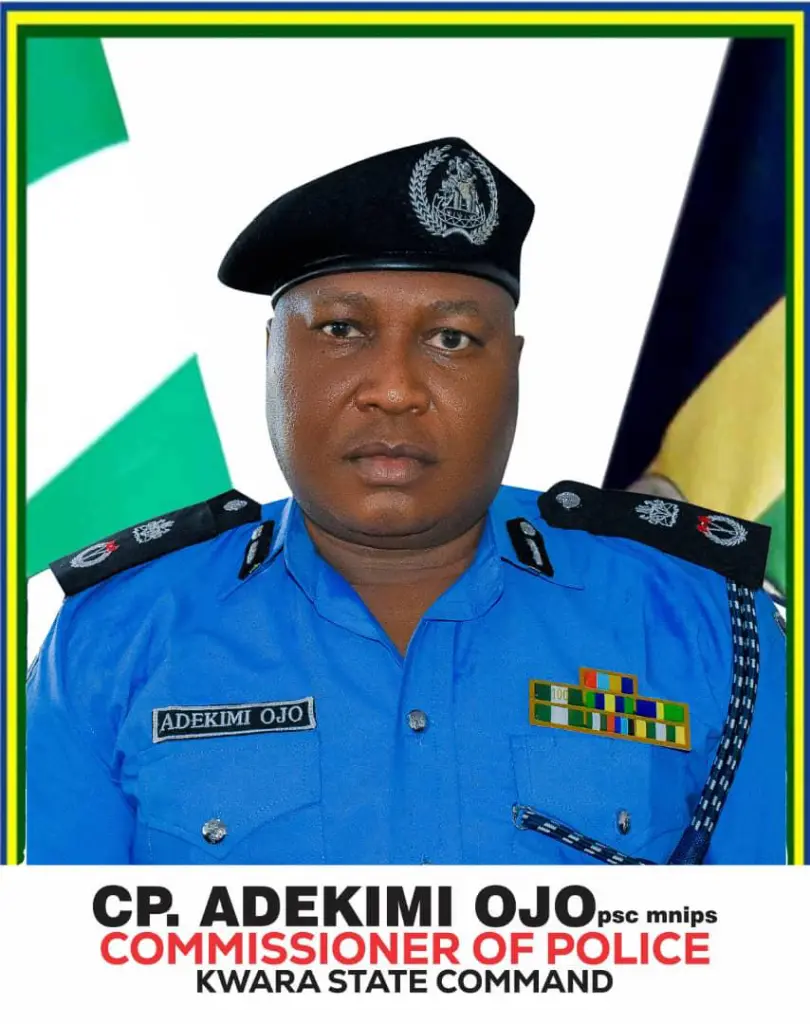 Kwara police arrest serial transformer vandal