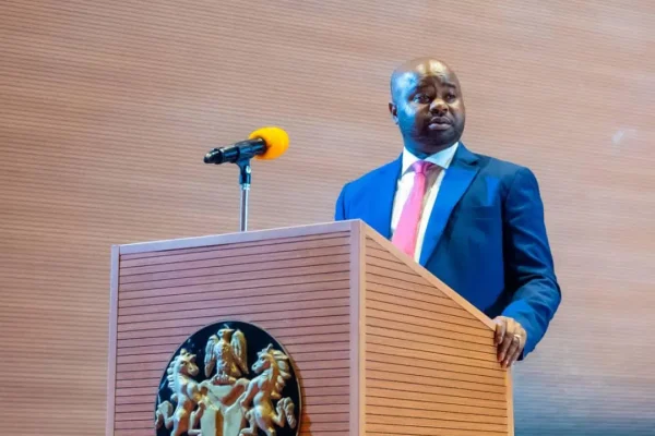 Replacement of FIRS with NRS will overhaul revenue administration – Zacch Adedeji