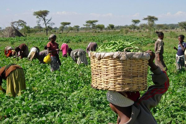 Nigeria, China eye new partnership in renewable energy, agriculture