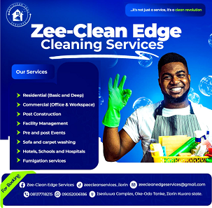 From the Frontlines: A professional insight into modern cleaning practices