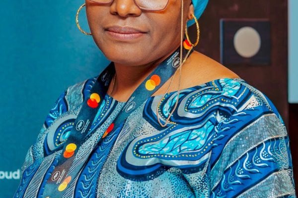 2027: Why Nigerians at home, diaspora will vote for Tinubu’s re-election — Suzuki