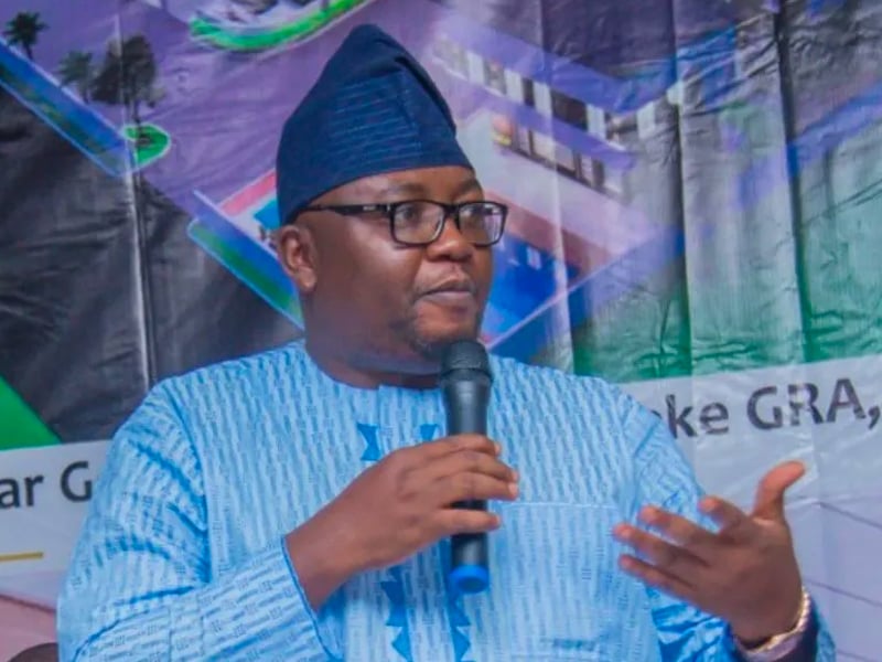 JUST IN: I apologise, Power minister begs Nigerians over outages