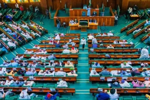 Reps probe NILDS boss over Kwara governorship bid claims