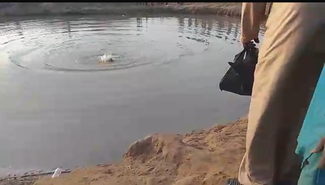 Kwara fire recovers two corpses from quarry lake
