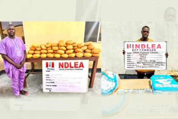 NDLEA arrests ex-Lagos councillor with 40kg skunk, recovers drugs in diapers