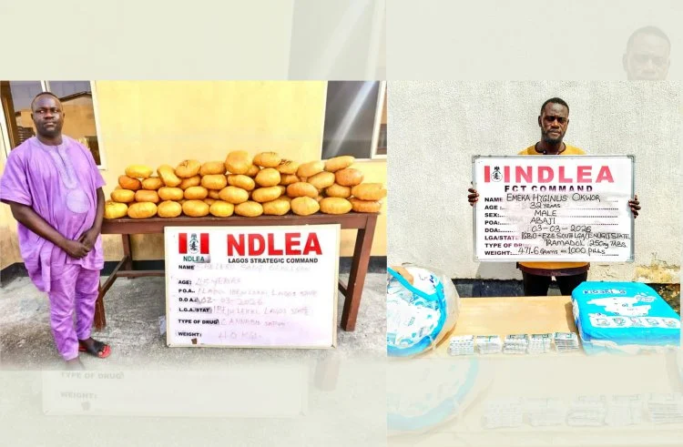 NDLEA arrests ex-Lagos councillor with 40kg skunk, recovers drugs in diapers