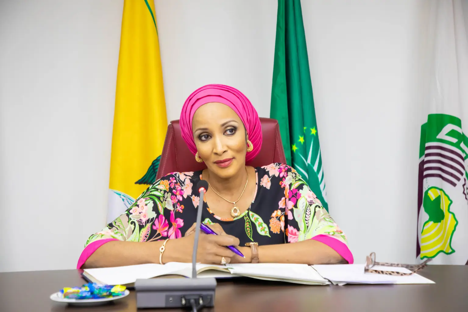 Tinubu elevates Odumegwu-Ojukwu, appoints Enikanolaiye new minister