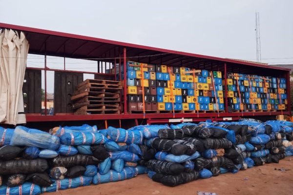 NDLEA arrest 5 suspects with 7,245kg of illicit drugs worth N724.5milli hidden in cartons of beer in Edo