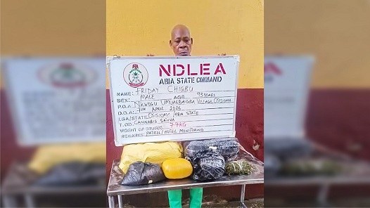 NDLEA arrests 93-year-old great grandpa, medical doctor arrested over cocaine, skunk trafficking
