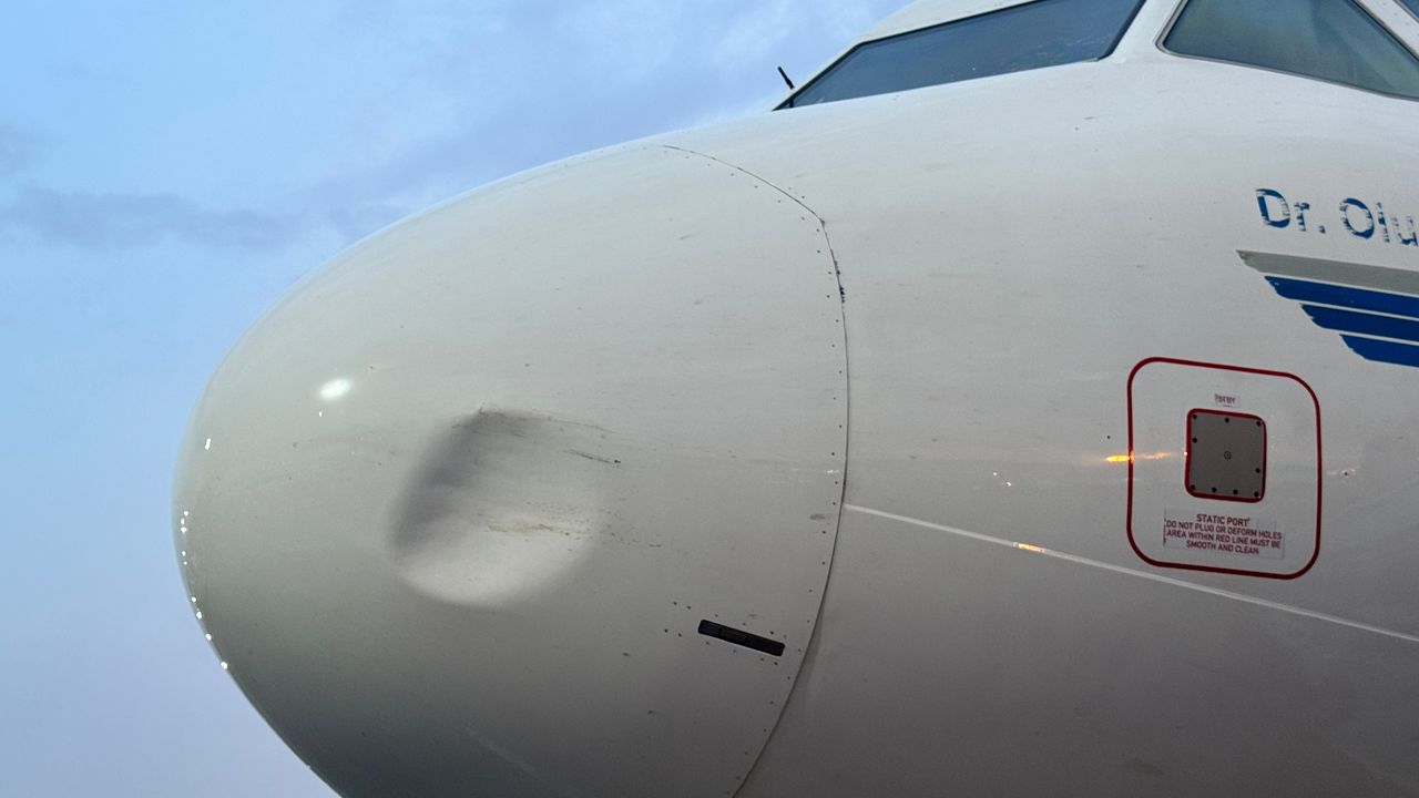Again, United Nigeria Airlines suffers bird strike