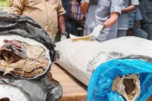 Kwara Customs generates N3.8bn, seizes drugs, contraband worth N204m