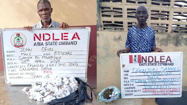 NDLEA nabs octogenarian, 78-year-old in Abia, Ekiti operations