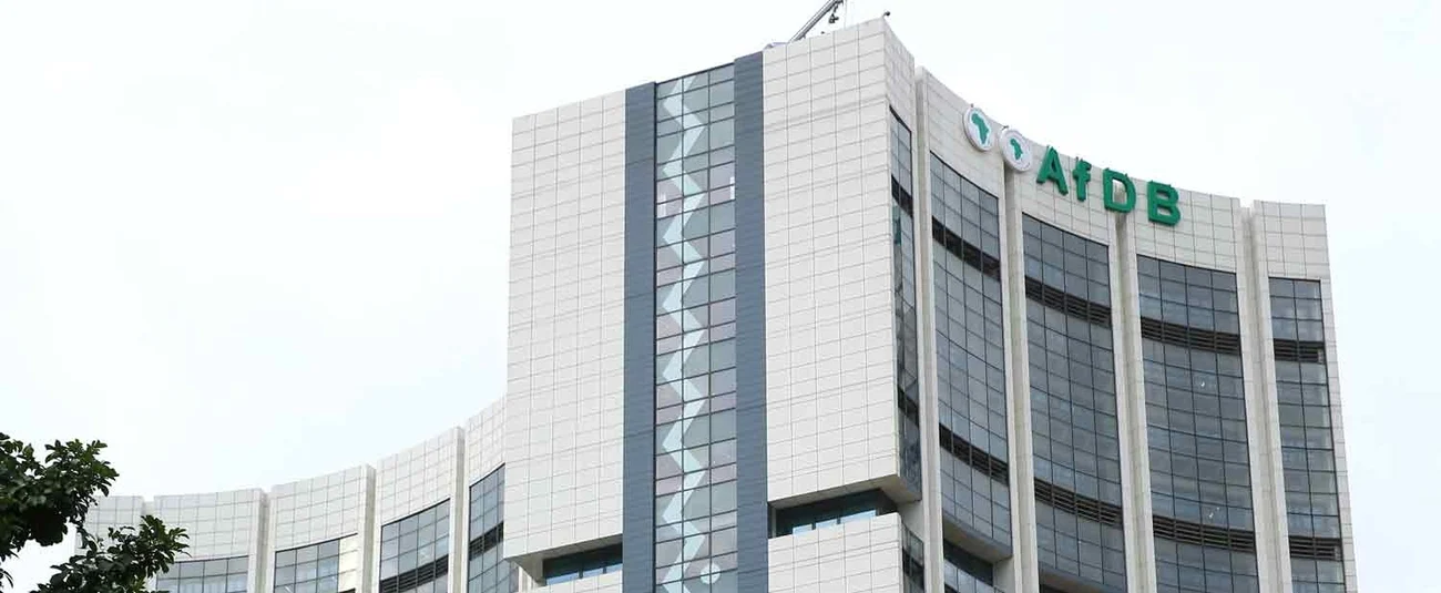 AfDB flags weak private sector credit in Nigeria