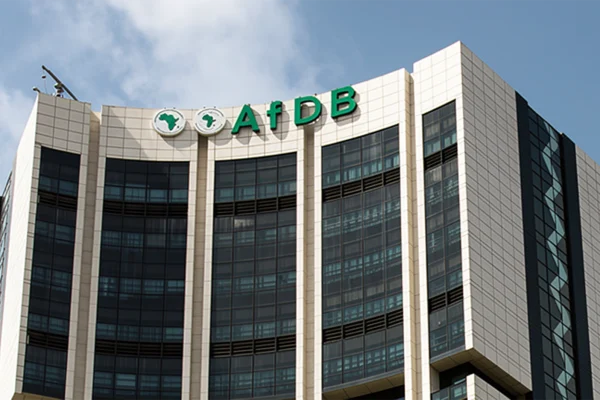 Africa can raise $469bn without tax hikes – AfDB