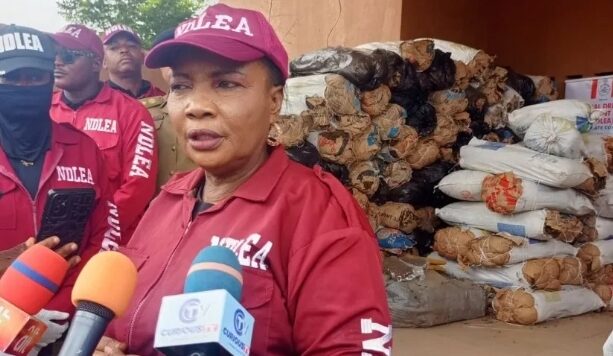 Kwara NDLEA busts drug networks, seizes 5.7 tonnes of Narcotics