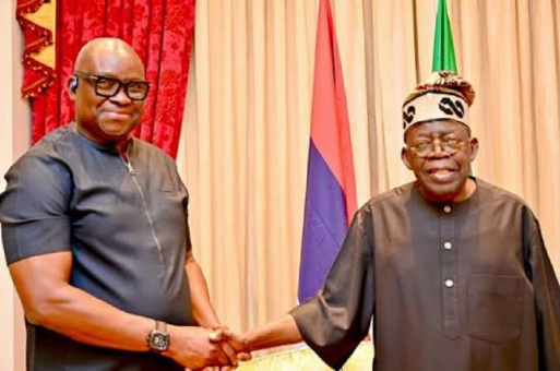 Tinubu appoints Fayose REA chairman, names 25 others