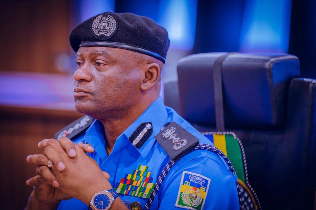 IGP Disu decorates 13 newly promoted AIGs, 17 CPs