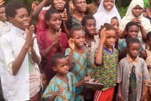 Oyo abduction: Eight kidnappers arrested, others killed, says Onanuga