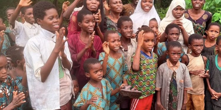 Oyo abduction: Eight kidnappers arrested, others killed, says Onanuga