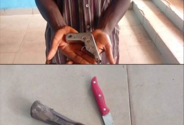 Police arrest youth for allegedly robbing villagers with fake gun