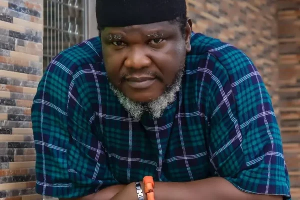 Nigerians not afraid of paying taxes but looters – Filmmaker, Ugezu