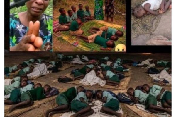 Oyo, Borno abductions: Schoolchildren spend 54 days in forest amid heavy downpour