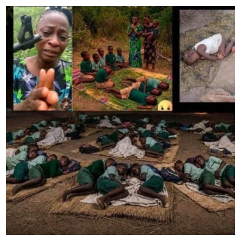 Oyo, Borno abductions: Schoolchildren spend 54 days in forest amid heavy downpour