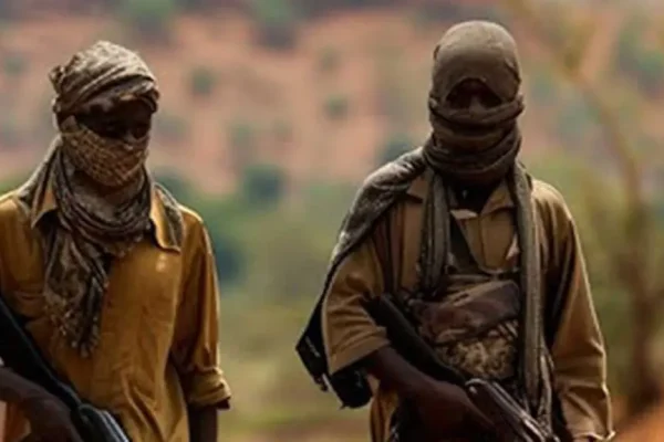 Nigerian Govt introduces fresh plan to reintegrate ex-terrorists