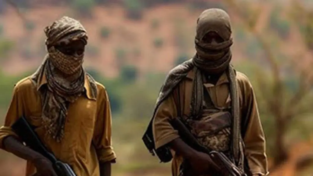 Nigerian Govt introduces fresh plan to reintegrate ex-terrorists