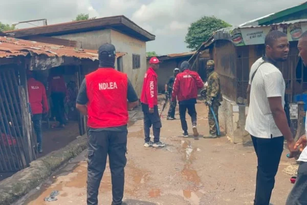 NDLEA dismantles drug black spots in Ogun, arrests 12 suspects