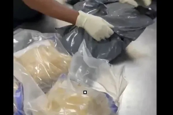 NDLEA uncovers opioids in bread, arrests real estate agent