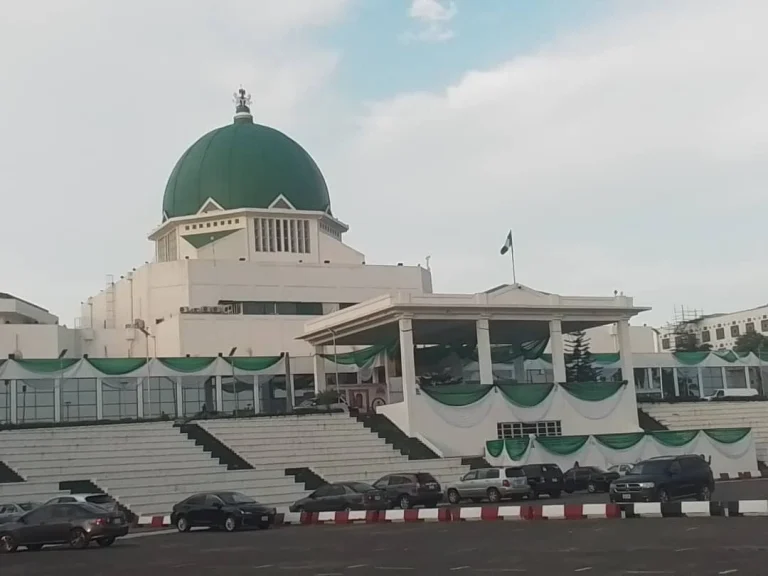 JUST IN: National Assembly suspends official visits to South Africa