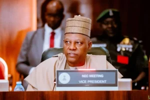 S’Africa must end humiliation, attacks on Nigerians – Shettima