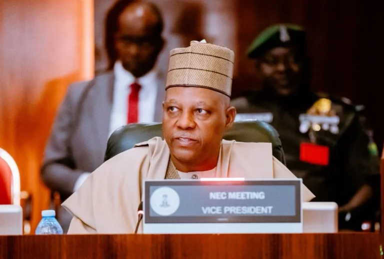 S’Africa must end humiliation, attacks on Nigerians – Shettima